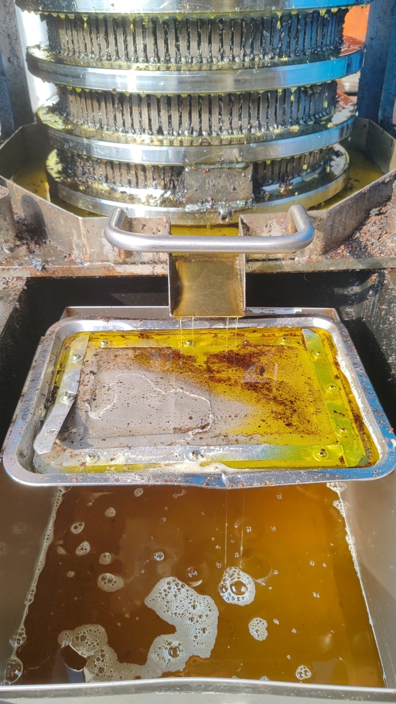 山茶油