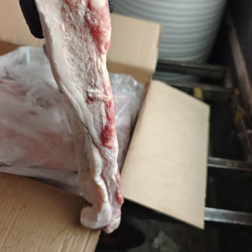 带皮五花肉肉