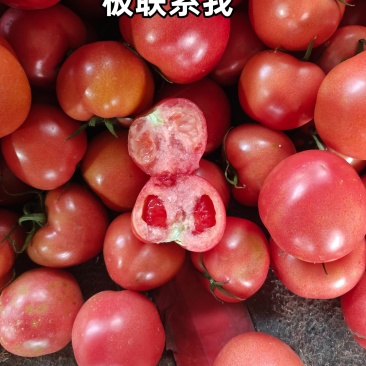 硬粉西红柿