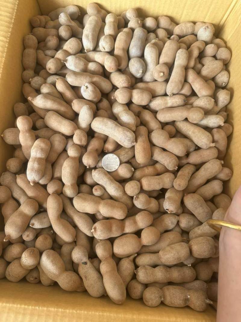 新货甜酸角，电商商超代发都可以。需要的老板联系我