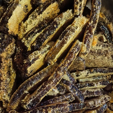 高海拔土蜂蜜