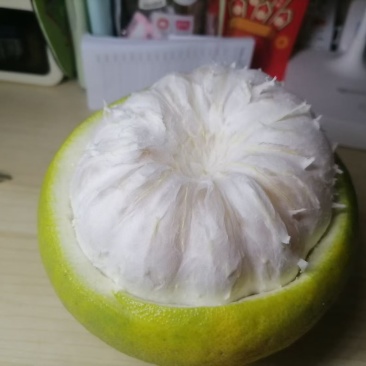 梅州沙田柚