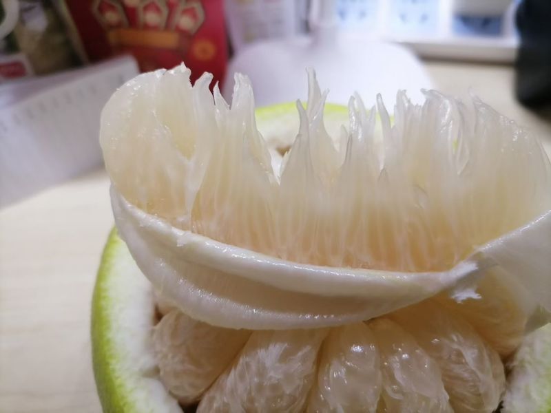 梅州沙田柚