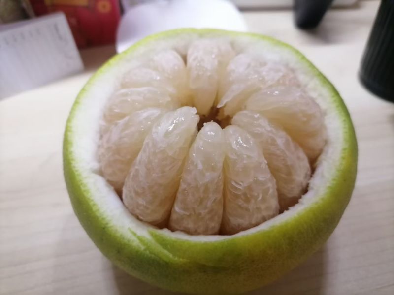 梅州沙田柚