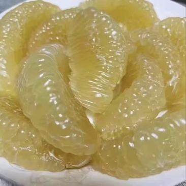 广西沙田柚