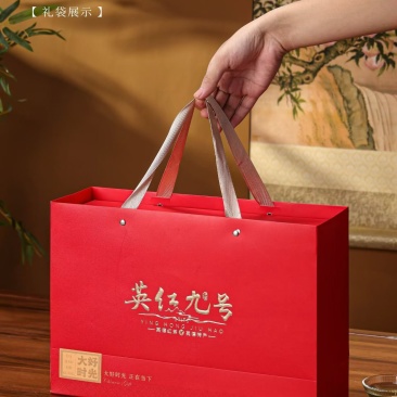 英德英红九号