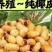 竹虫（高蛋白）新鲜活虫、冻虫