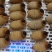 竹虫（高蛋白）新鲜活虫、冻虫