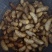 竹虫（高蛋白）新鲜活虫、冻虫