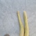 丝瓜络