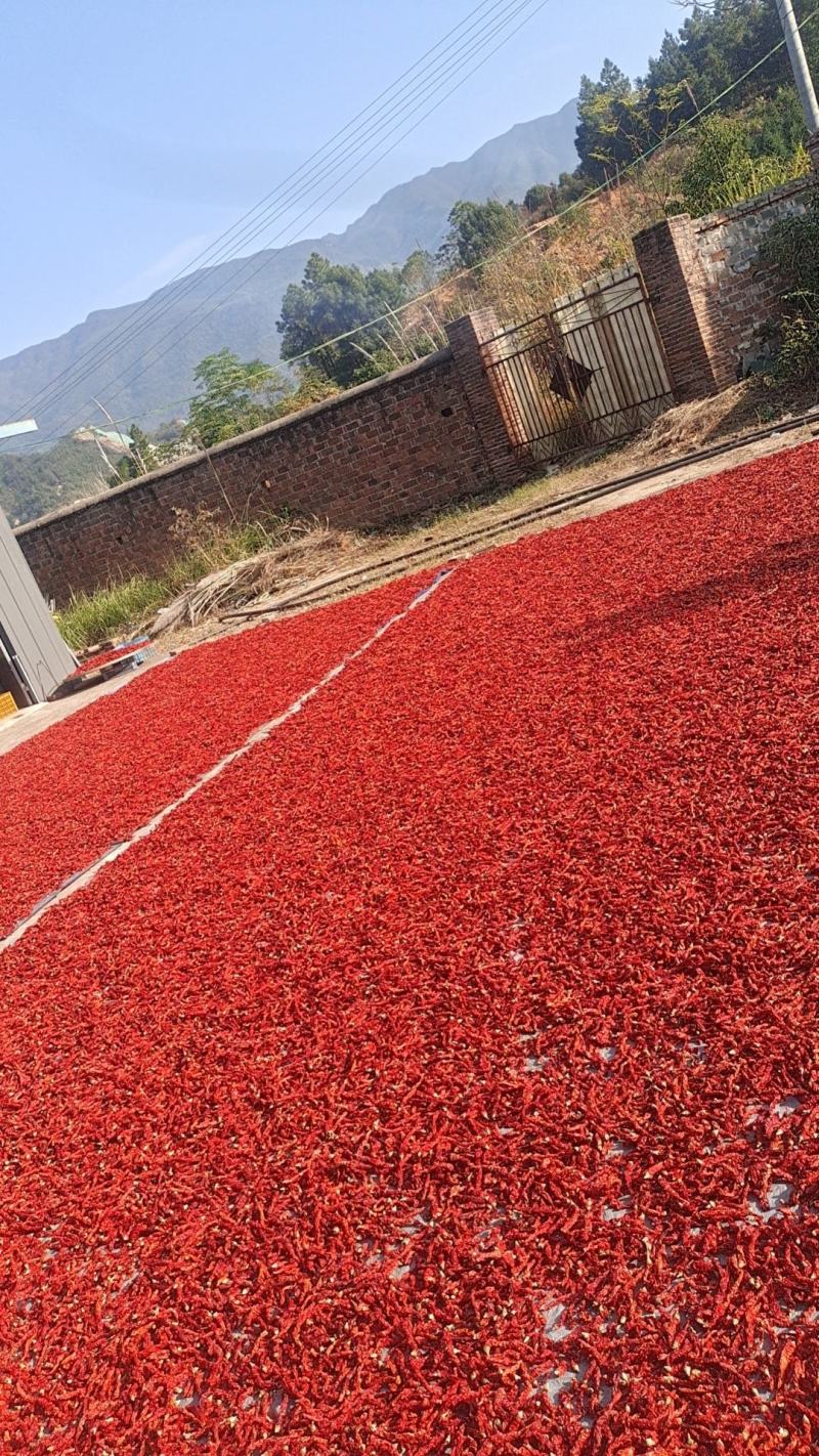 江西小炒水洗辣椒粉