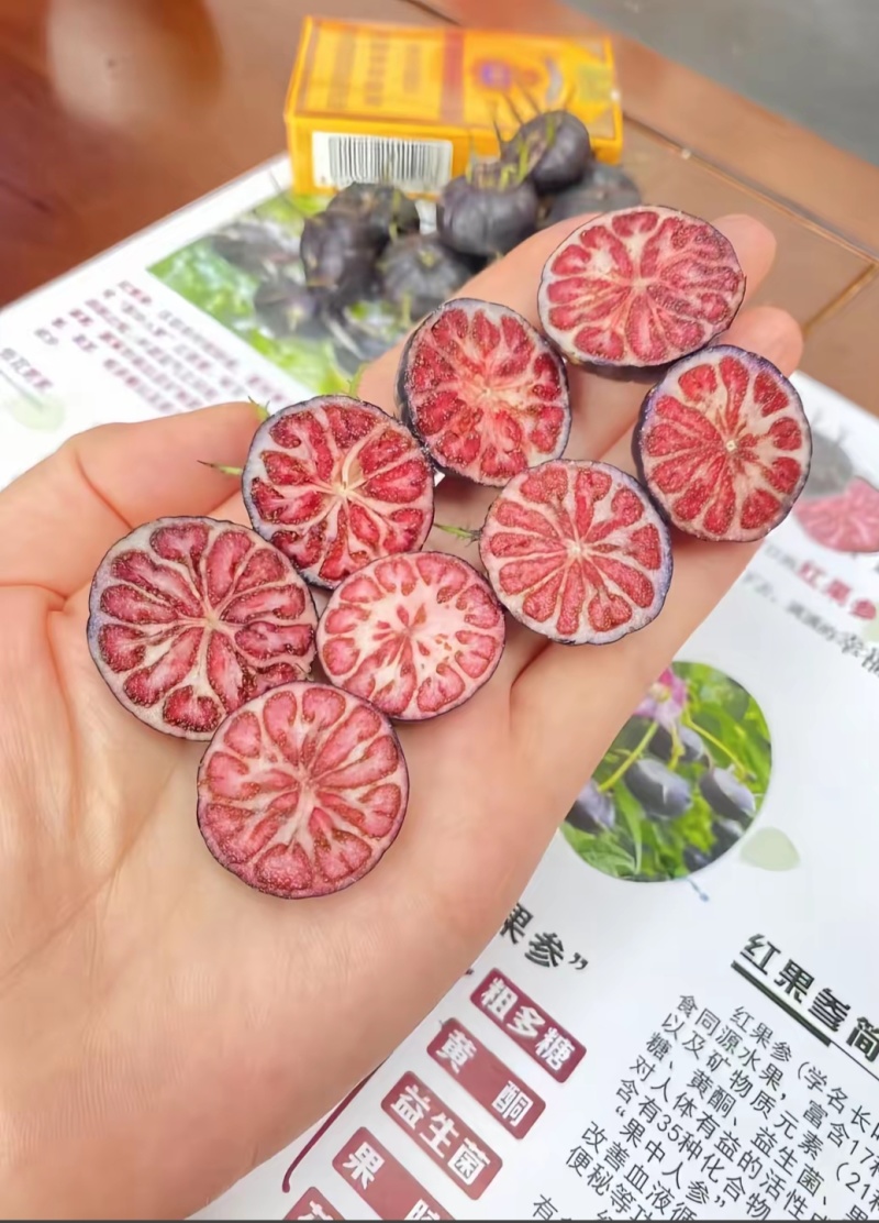红果参