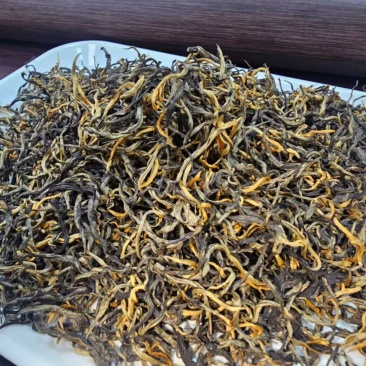 英红九号茶叶