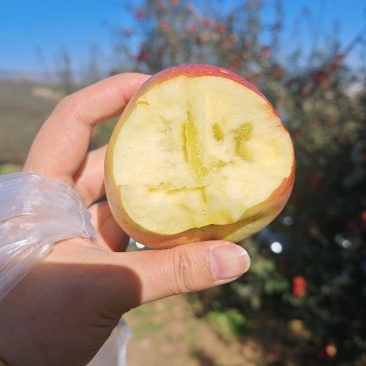 昭通糖心丑苹果
