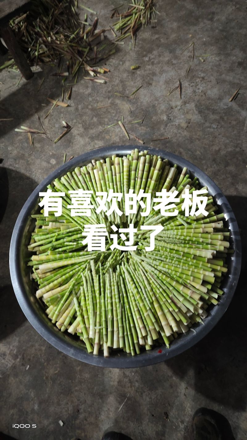 云南昭通大关