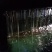 铜钹山山茶油***古法压榨