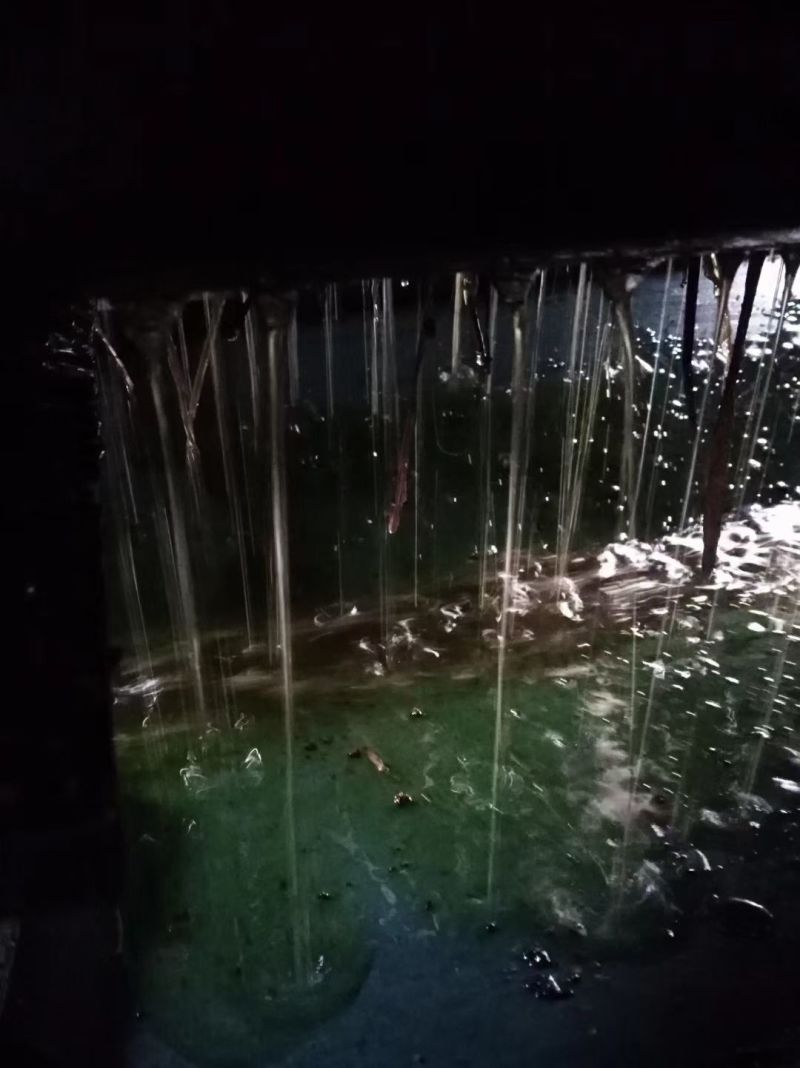 铜钹山山茶油***古法压榨