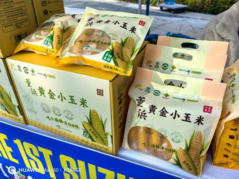 常熟董浜真空黄金小玉米