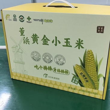 常熟董浜真空黄金小玉米