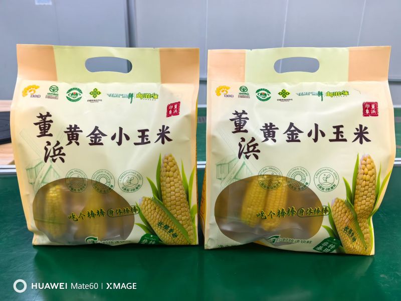 常熟董浜真空黄金小玉米