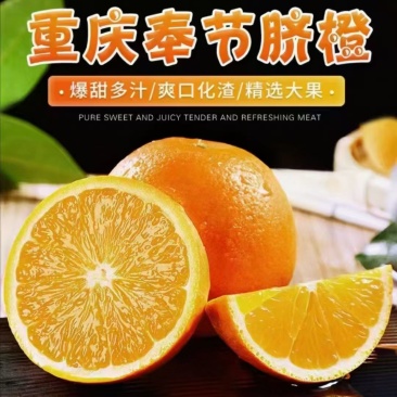 奉节脐橙