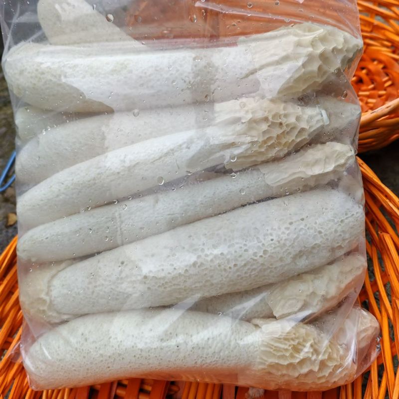 毕节大方冬荪