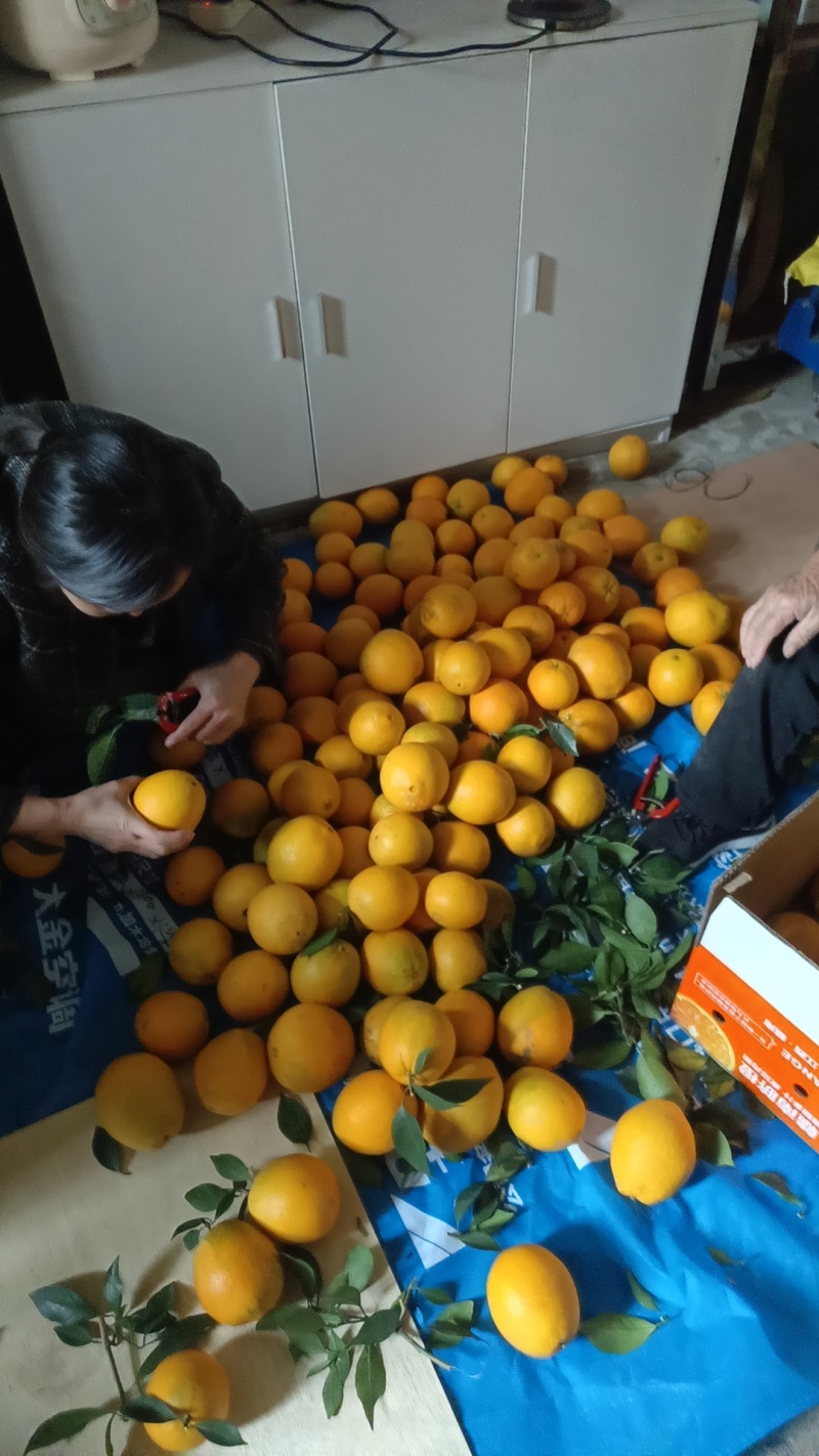 赣南
