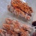 富平流心柿饼