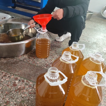 适合全家老小的正宗山茶油