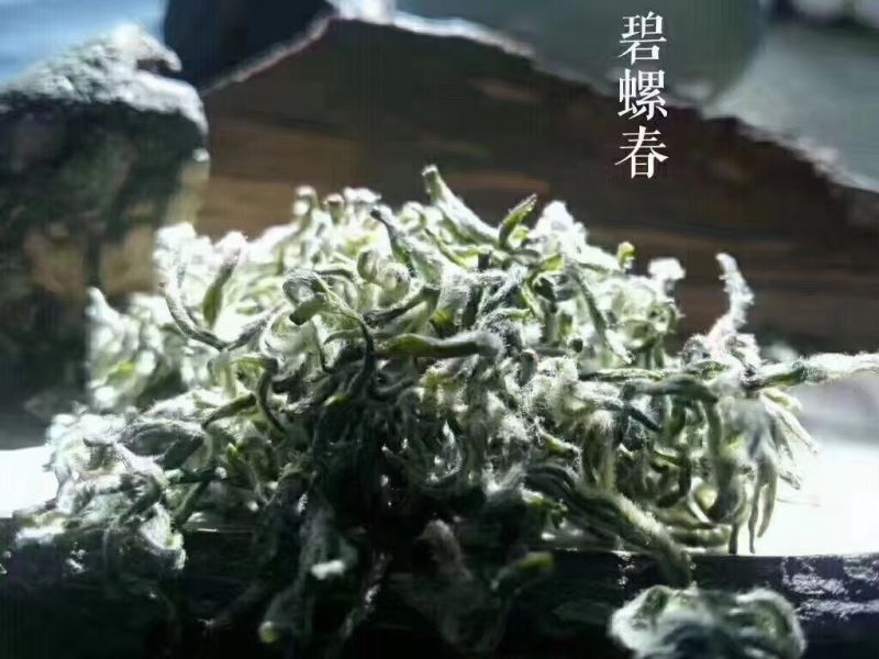 洞庭山碧螺春。