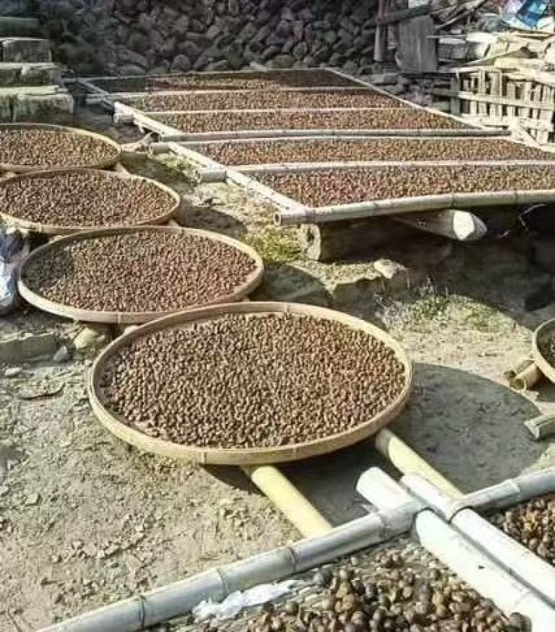 永泰山茶油