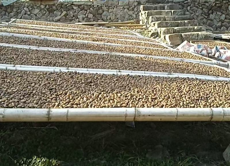 永泰山茶油