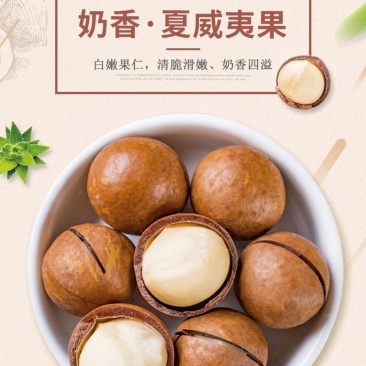 夏威夷果大颗粒奶香味支持各大电商一件代发批量拿货。