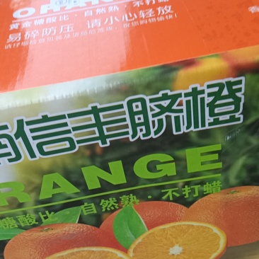 信丰的赣南脐橙