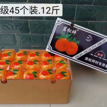 长阳岩松坪清江椪柑