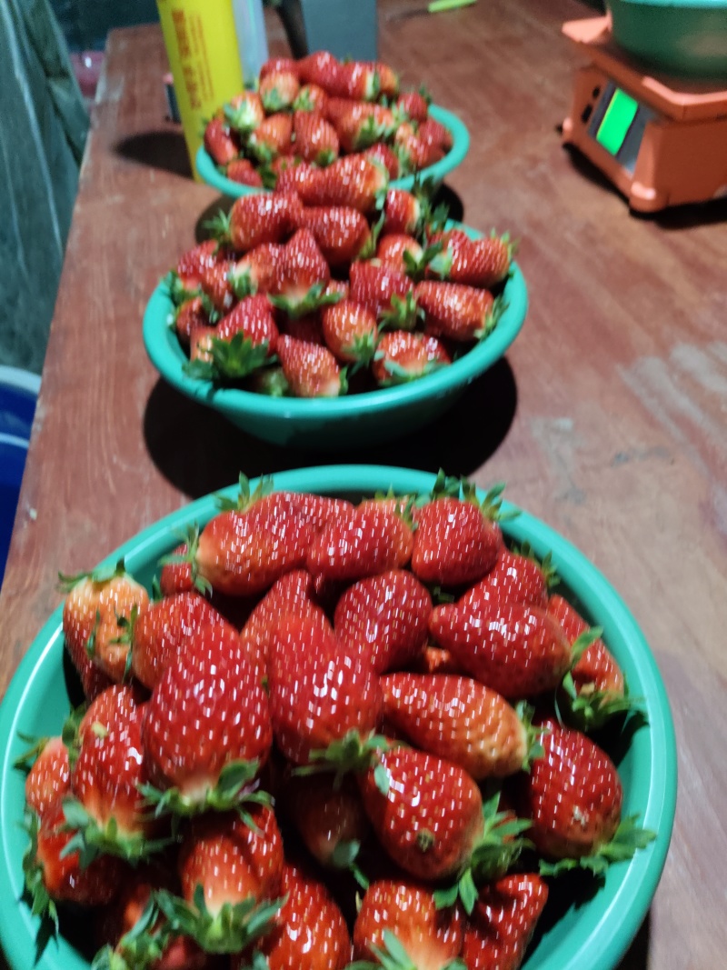 奶油草莓