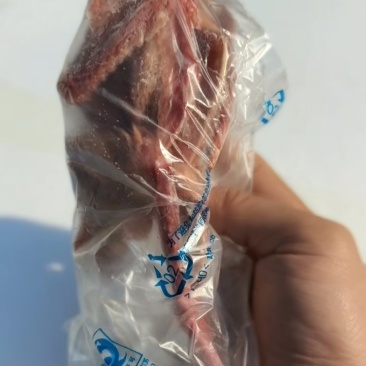鸽子有货便宜出