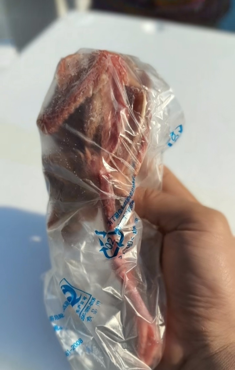 鸽子有货便宜出