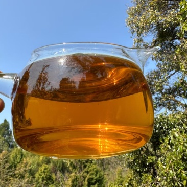 云南野生百年古树红茶
