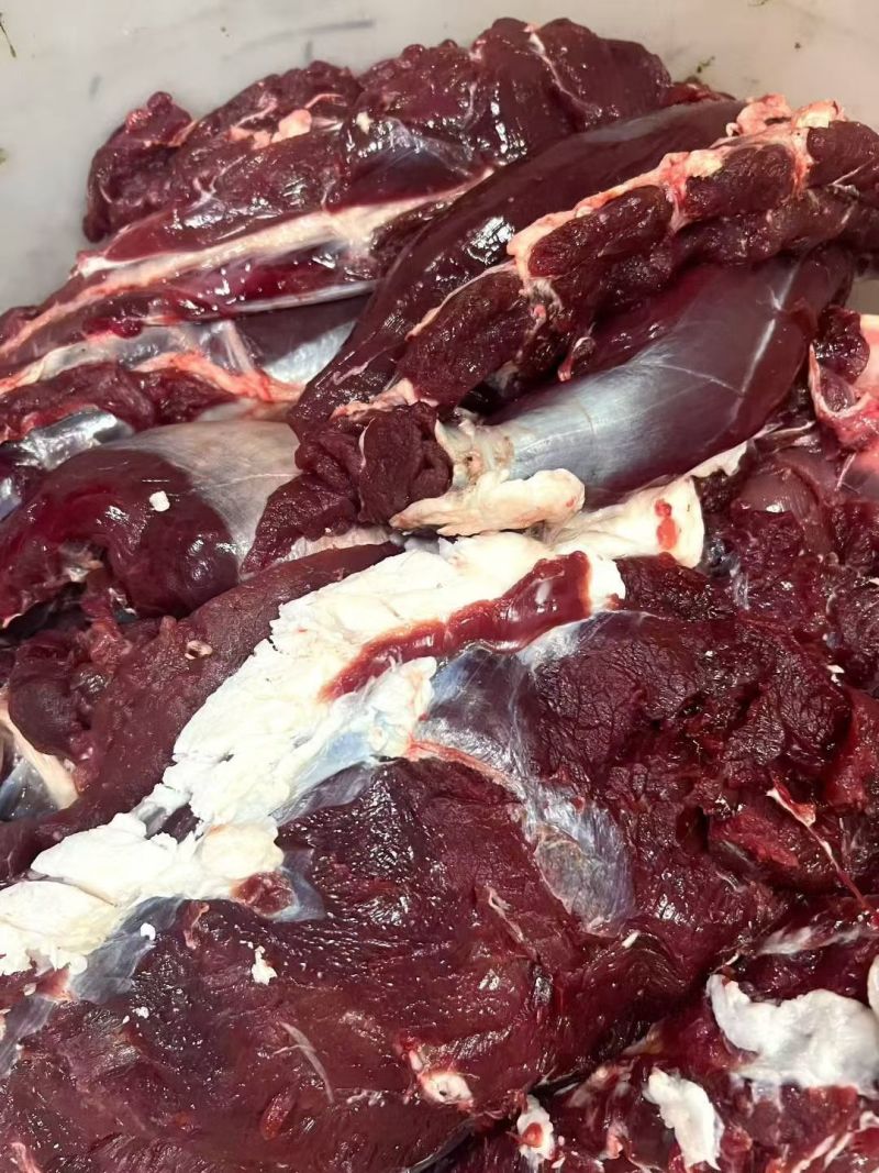 梅花鹿鹿肉