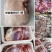梅花鹿鹿肉