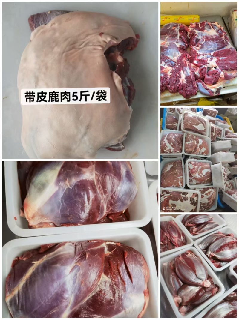 梅花鹿鹿肉