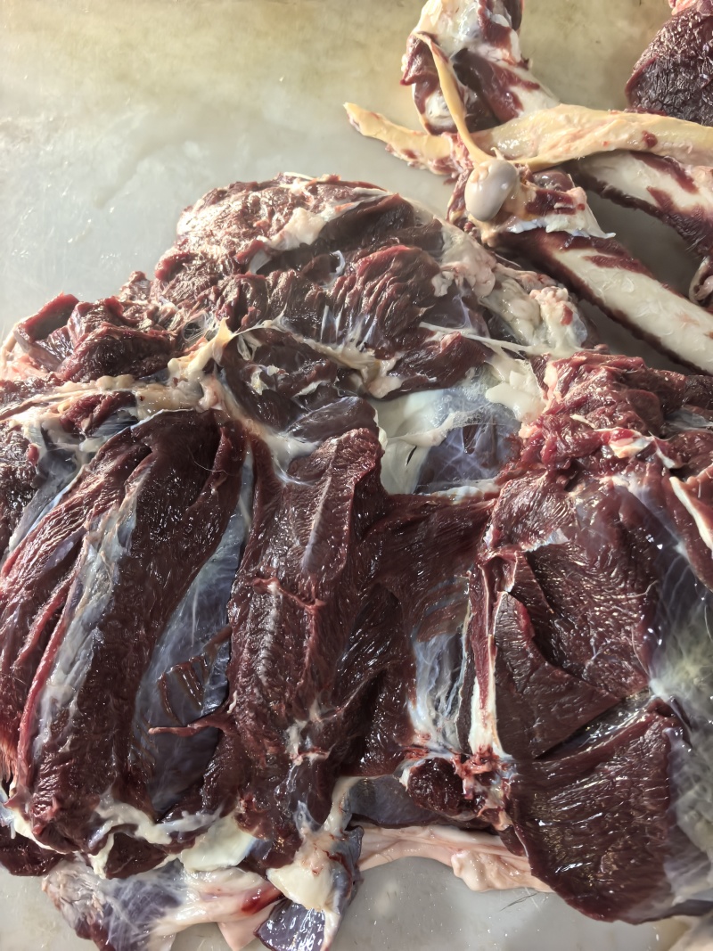 梅花鹿鹿肉