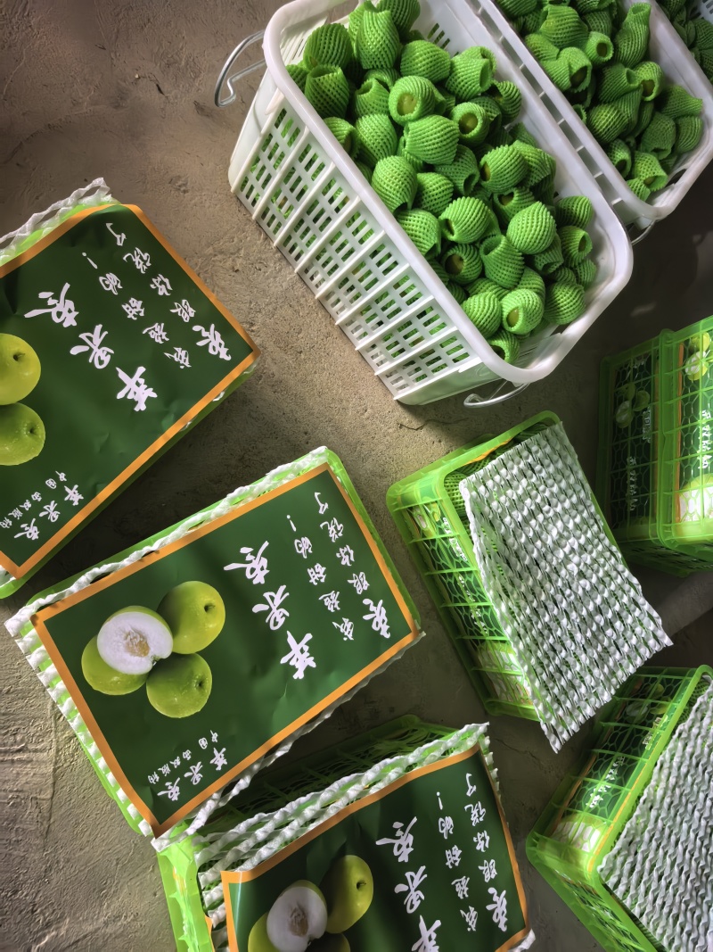 西双版纳苹果枣