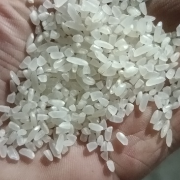 食用粥米，酿酒用米，饲料用米