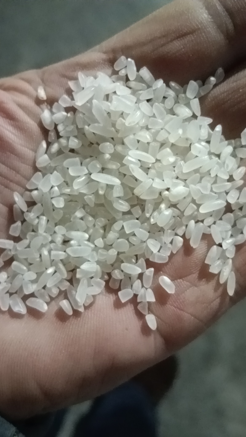 食用粥米，酿酒用米，饲料用米