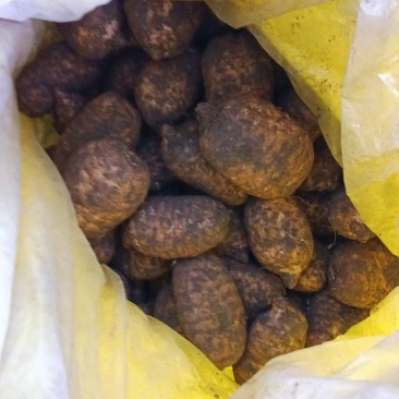 云南省昭通市彝良县小草坝