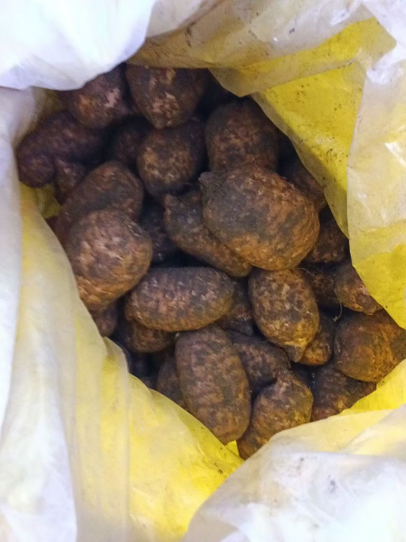 云南省昭通市彝良县小草坝