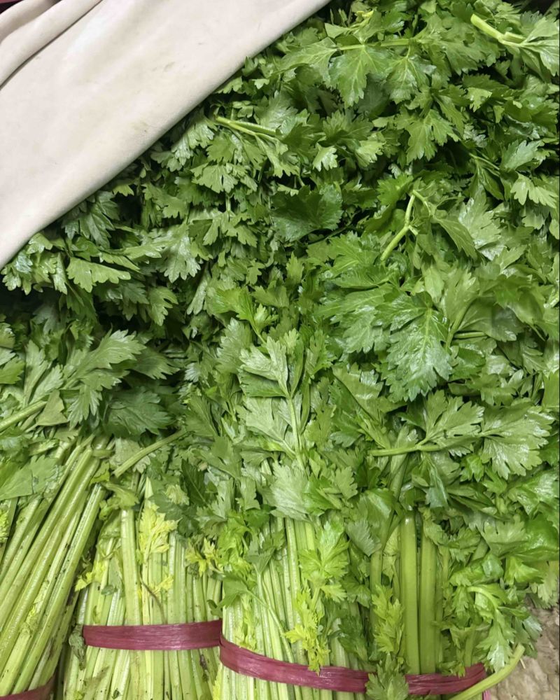 大量有货可以长期合作线下来看高密河崖窦家庄