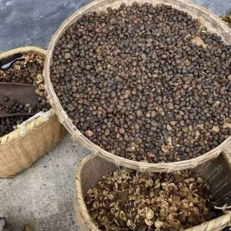 湖南正宗山茶油